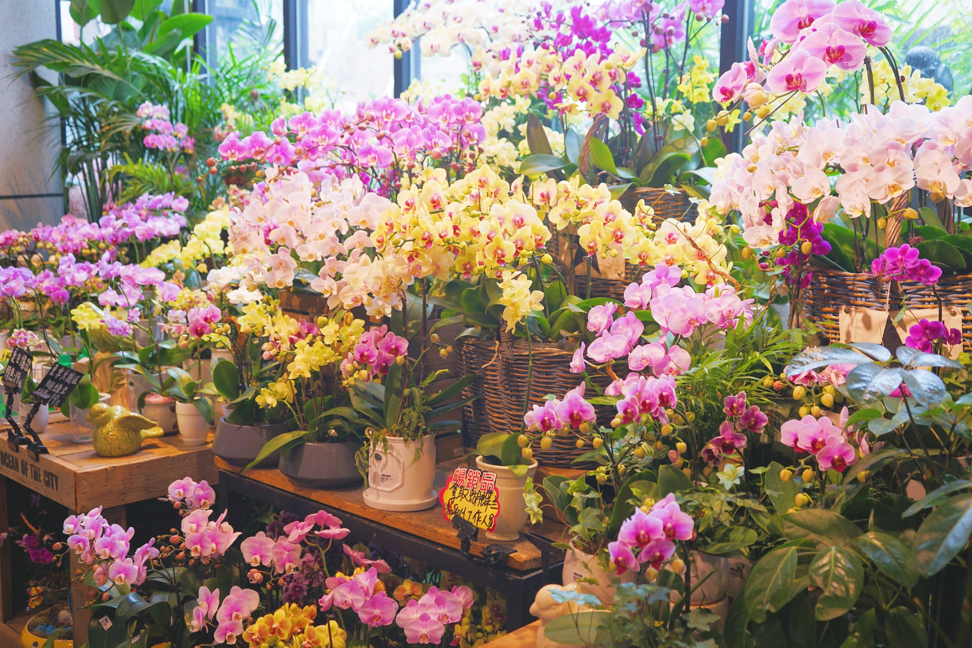Программа для цветочного магазина